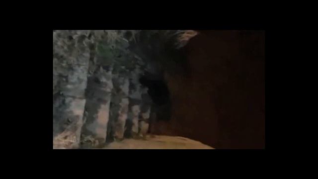 Bóbr kurwa but it's Neco Arc смотреть онлайн