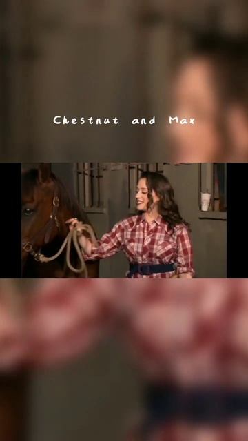 Chestnut and Max 😂😂 | #like #comment #subscribetomychannel #thanks #2brokegirls #sitcoms #subscribe смотреть онлайн