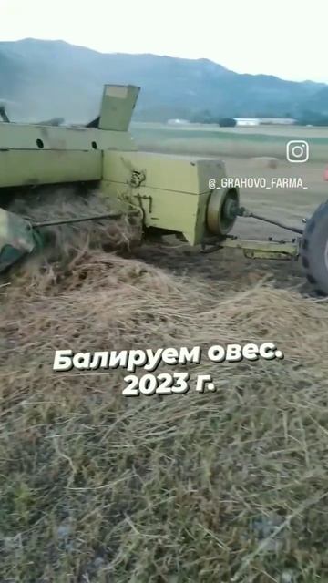 Сенокос 2023г. Убираем овес. #agriculture #tractor #farming #ферма #уборочная #овес #пресподборщик