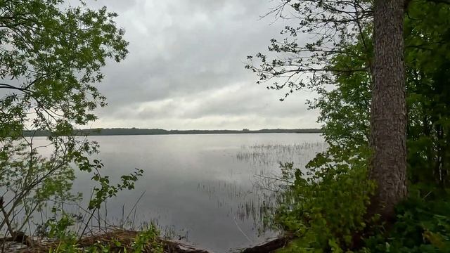 Алоль, Зверино, Чёрное, Ясское, Соинское, Долосцы, оз.Алоль, Крупейское, Глыбошня, Спастер,Черничен