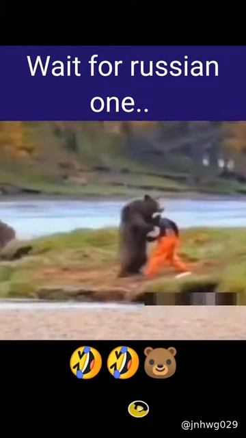 bear funny videos смотреть онлайн