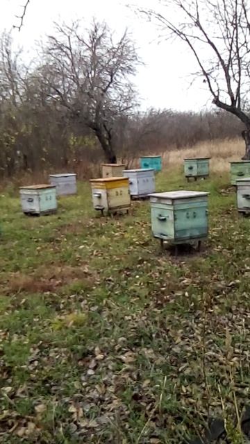 VID_20191028_130642 смотреть онлайн