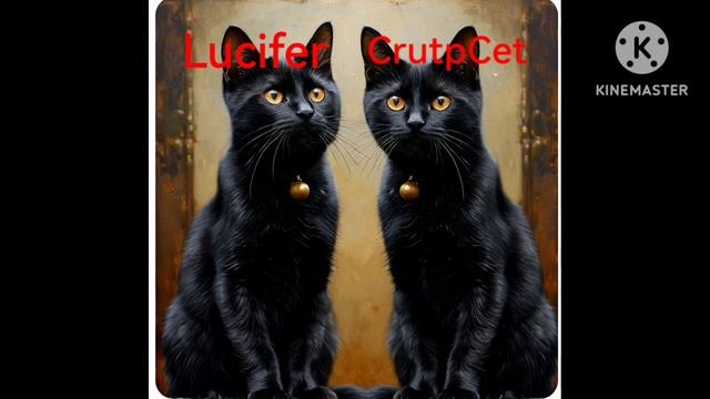 CrutpCet And Kiti Lucifer
