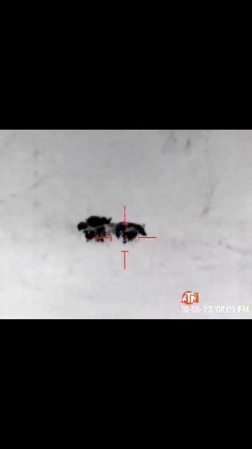 Hog Hunting in the Dark: ATN Thor4 Thermal Scope 🐗 #shorts #hog #hunting смотреть онлайн