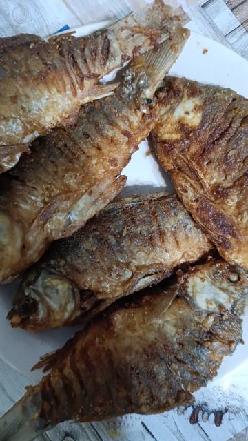 30 ноября 2024 г.