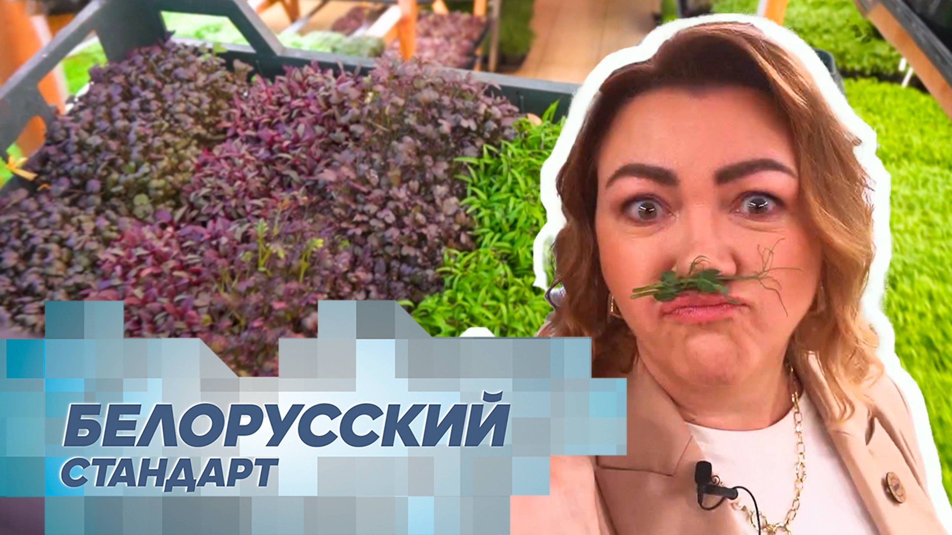 Выращиваем микрозелень. Настоящий суперфуд и витамины круглый год! смотреть онлайн