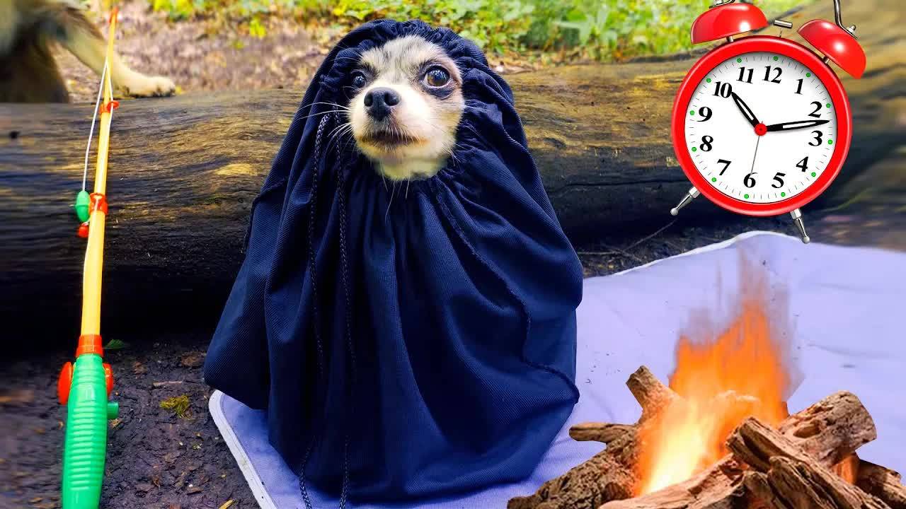 24 ЧАСА В ЛЕСУ глазами собаки! Волшебные питомцы в походе! 🐕✨ смотреть онлайн