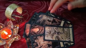 Что пытаются стащить крысы💥🐀Возмездие по заслугам💥💥💥