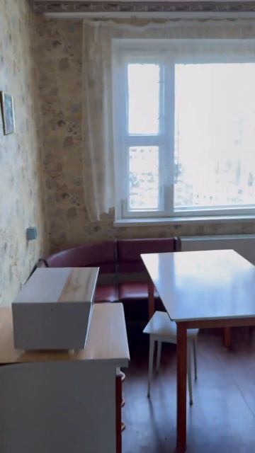 Снял за 320$ в центре Минска уютный бабушатник. Самое то для нас с Полиной и котом Сильве смотреть онлайн