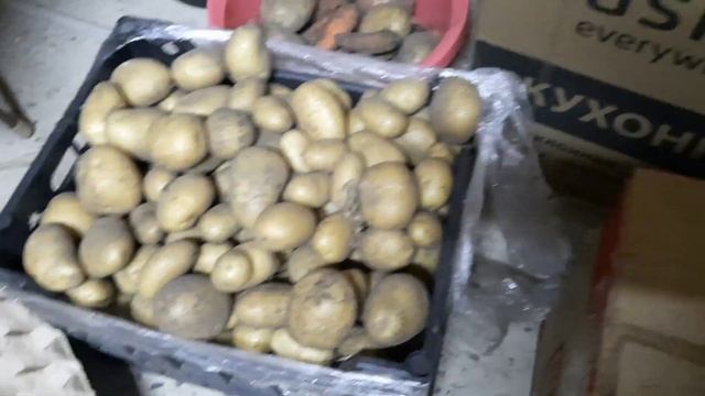 Урожай картошки 2023, выращенной без ухода смотреть онлайн