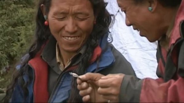 Тайные экспедиции СС в Тибет