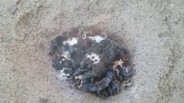 Сахарная ЗМЕЯ смотреть онлайн