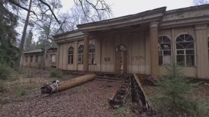 Заброшенный пионерский лагерь "Лесная быль". (Владимирская обл.)