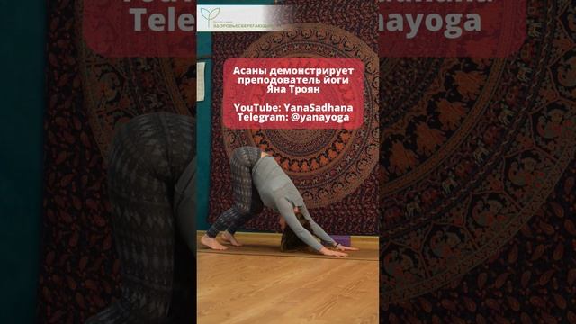 Собака мордой вниз ( Адхо мукха шванасана ) - самая известная асана в йоге смотреть онлайн