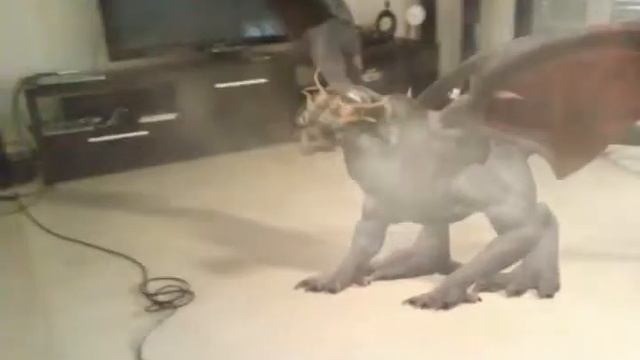 Што за! Дракон у меня дома😦😦😦😦😦 смотреть онлайн