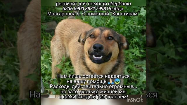 ПОМОГИТЕ пожалуйста - мы снова на ГРАНИ😭😭😭 смотреть онлайн