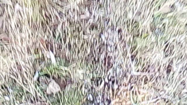 VID_20191028_134858 смотреть онлайн