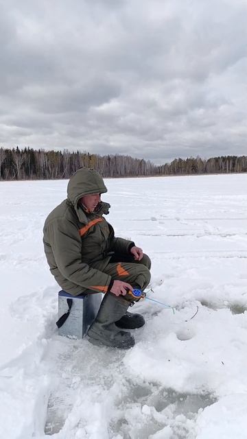 Заводоупенка окунь #рыбалка196 #рыбалка #заводоупенка #заводоуспенское