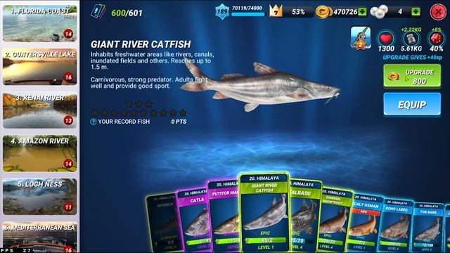 Fishing clash - Check my lucking(Open Giant Fortune Pack) смотреть онлайн