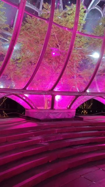 папоротники в теплицах парка Галицкого смотреть онлайн