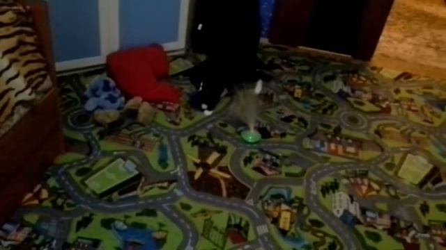 Приключение аватара в квартире 2 смотреть онлайн