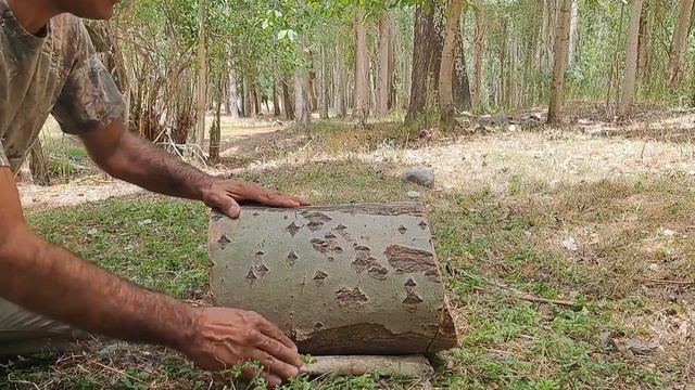 Кемпинг и выживание. Охота на птиц в джунглях смотреть онлайн