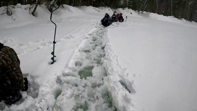 река тис, весна 2024