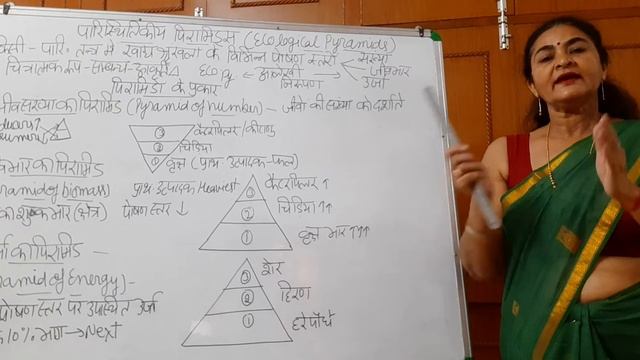 Ecological Pyramids (EVS) Lecture - 27 смотреть онлайн