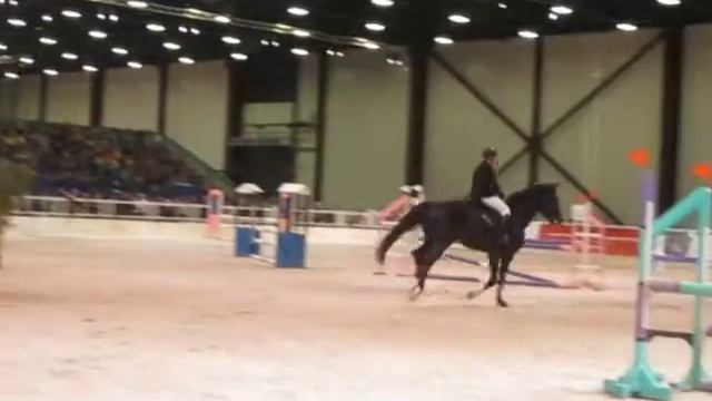 конкур на Иппосфера 2015 смотреть онлайн