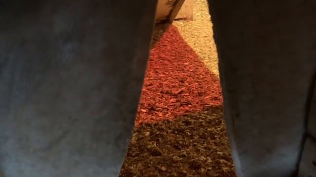 Вечернее кормление кур🐓сколько сегодня яиц🐓🥚🥚🥚26 февраля 2025 года смотреть онлайн