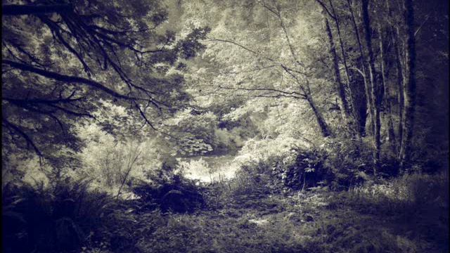 Mira Calix with Oliver Coates - In A Beautiful Place Out In The Country (Boards Of Canada cover) смотреть онлайн