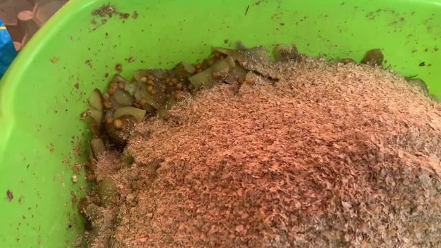 Как курица контролёр⁉️Мешанка для кур_ не знаю как помочь курице- левая зелёная нога_ сколько яиц✅ смотреть онлайн