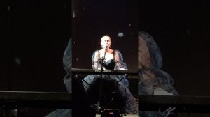 Бэмби — Элли на маковом поле (26.05.2024)