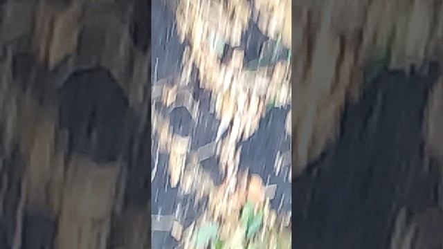 VID_20191022_165020 смотреть онлайн