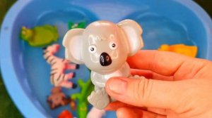 Изучите названия животных! Изучение морских животных для детей, морских обитателей, диких животных и