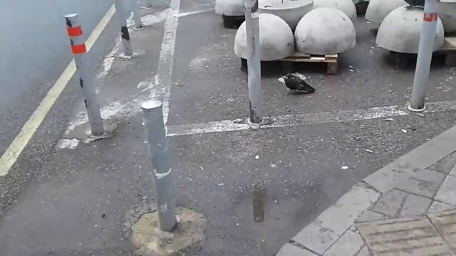 В Краснодаре Тупорылая бабьё припарковалась в не положенном месте Часть-1, 😠😡 Это надо видеть