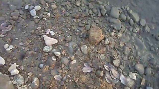 Это река Иркут. смотреть онлайн