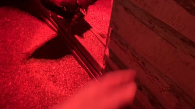 АМОКСИЦИЛЛИН ДОКСИЦИКЛИН ТАБЛЕТКИ КУРАМ_ ЧАЙ КУРАМ_ Сколько яиц сегодня снесли куры_22 февраля 2025г смотреть онлайн