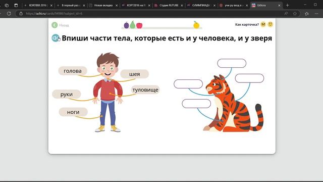 УЧИ РУ ЧАСТИ ТЕЛА РЕШЕНИЕ КАРТОЧКИ ОТВЕТЫ смотреть онлайн