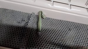 РУНДУК В ЛОДКУ ПВХ. НЕСТАНДАРТНЫЙ ХОД