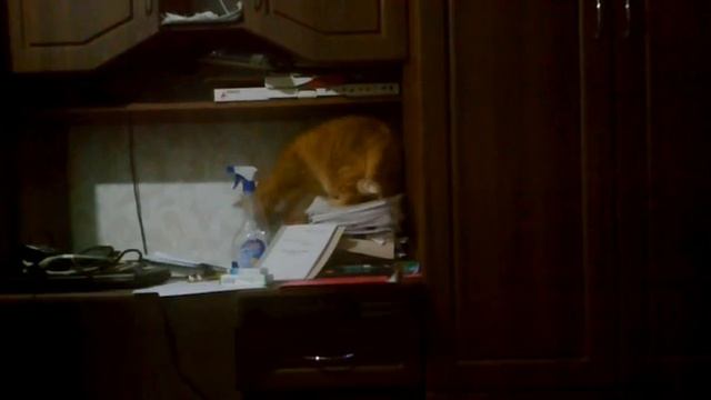 Мой Рыжик писатель смотреть онлайн