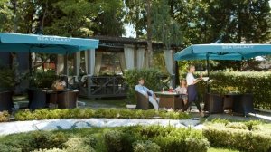 Отель Sea Galaxy Congress & SPA 4*, Сочи