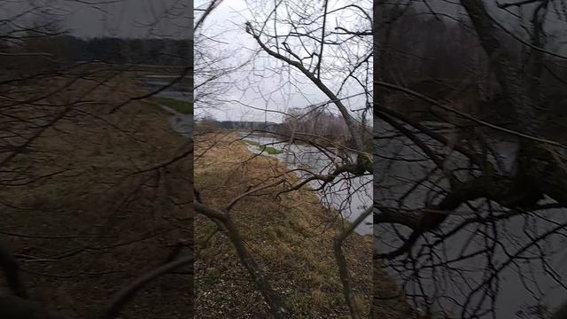 Сидим на дереве с пацанами смотрим на реку