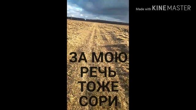 Приключения в деревне СМОТРЕТЬ ВСЕМЬ смотреть онлайн