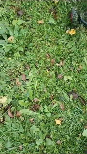 отзыв 2 смотреть онлайн