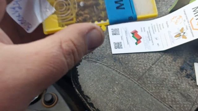 Приехала матка ИО смотреть онлайн