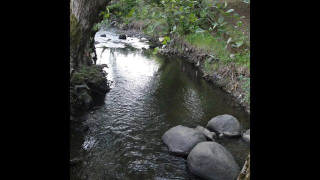 Відпочинок в Закарпатській області 19-23.05.2017