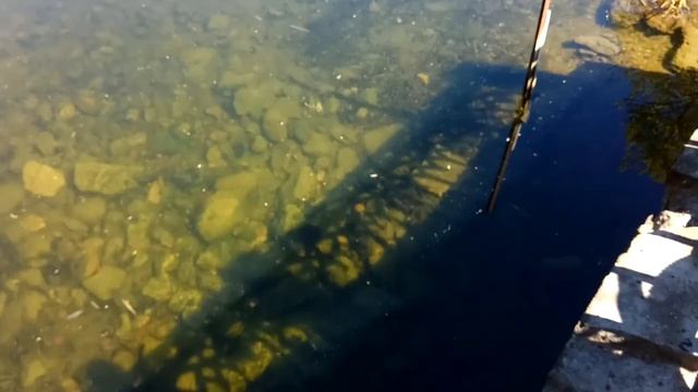 Ворошиловский стрелок. Велопробег по своему району.