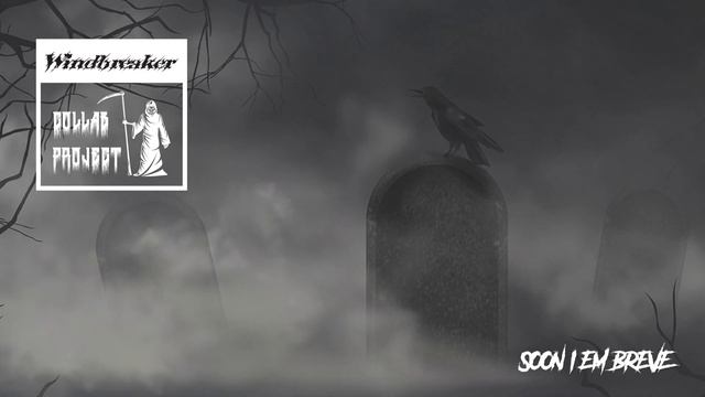 Windbreaker Collab Project