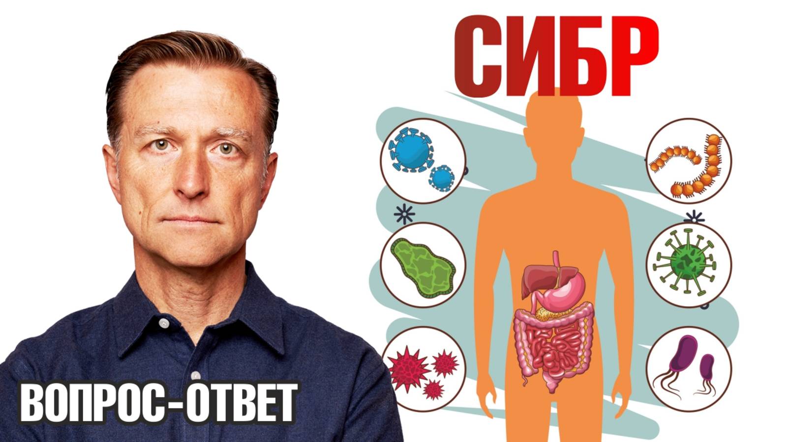 Самое мощное средство от СИБР🙌 Восстановление микробиома смотреть онлайн